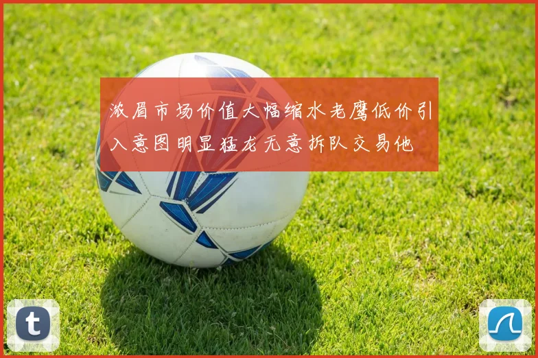 浓眉市场价值大幅缩水老鹰低价引入意图明显猛龙无意拆队交易他